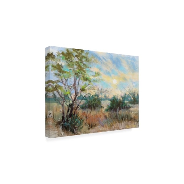 Nancie King Mertz 'Texas Sunrise' Canvas Art,24x32